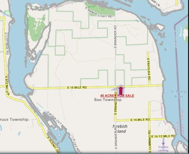 000 E 15 Mile Rd, Barbeau, MI 49710 - photo 5