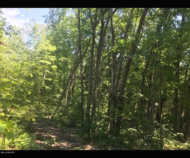 0 N Centerline Rd unit 18032500, White Cloud, MI 49349 - photo 6