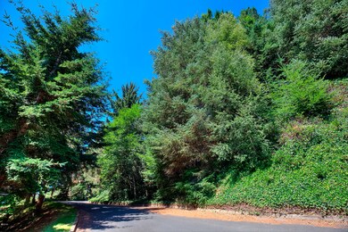 Lot on Right