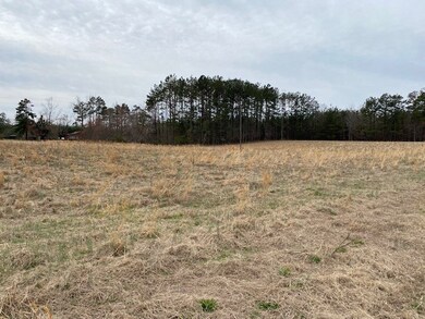 0 Craig Mill Rd unit B2 46919, Lunenburg, VA 23944 - photo 3