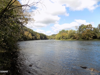 river mist - 2049 (15)