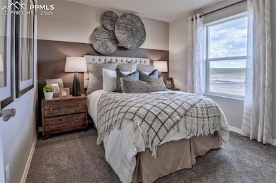 Bedroom with carpet flooring, multiple windows, and baseboards