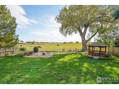 Relax in your backyard and watch the horses and cattle meandering around.
