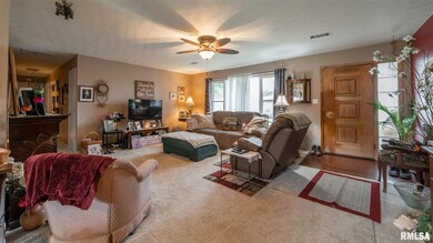 245 Regent St, Lincoln, IL 62656 - photo 3