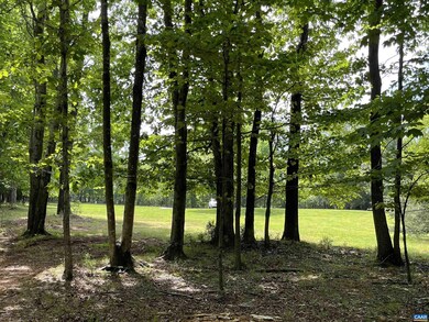 tbd Smith Rd, Afton, VA 22920 - photo 6