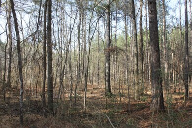 0 River Bend Rd, Columbia, MS 39429 - photo 5