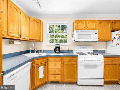 236 Sycamore Rd, Elkton, MD 21921 - photo 7