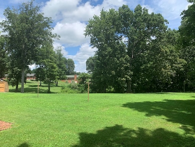 Large back yard