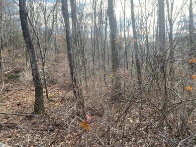 Lot 9A O'Neil Rd, Warren, MA 01083 - photo 3