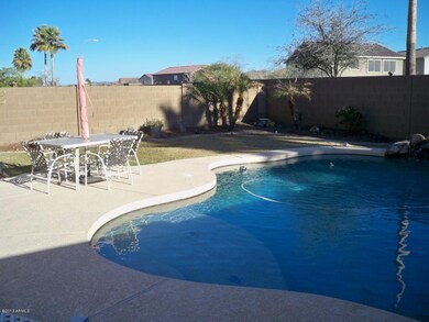 Grass Lawn In Back Yard