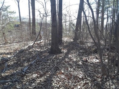 85 Central - Parcel A, Weymouth, MA 02190 - photo 6