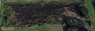 4525 Papaya St, Cocoa, FL 32926 - photo 3