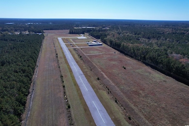 7.90 Acres-TBD Puncheon Creek Dr, Andrews, SC 29510 - photo 5