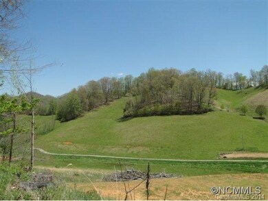 400 Calla Lily Ln, Burnsville, NC 28714 - photo 6