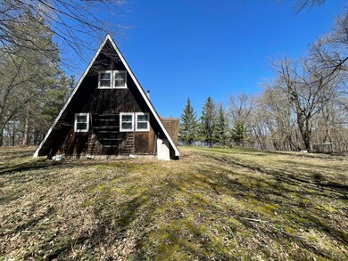 16051 Freeborn Ln SW, Kensington, MN 56343 - photo 4