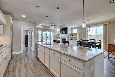 2358 High Bluff Loop, Lexington, SC 29072 - photo 3