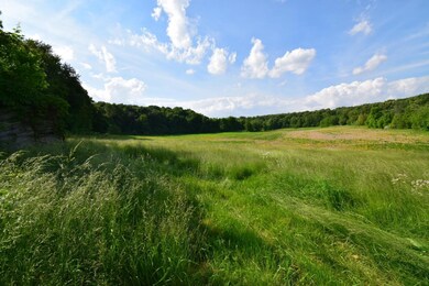 IMG_1562