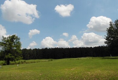 Lot 125 Glencastle Ct, Cordele, GA 31015 - photo 2