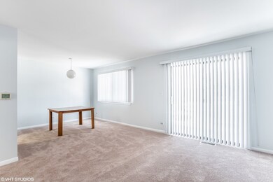 1602 Tahoe Circle Dr unit 203, Wheeling, IL 60090 - photo 6