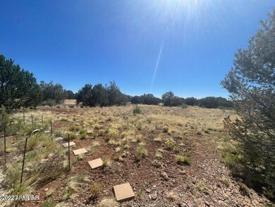 1312 Bourdon Ranch Rd, Show Low, AZ 85901 - photo 5