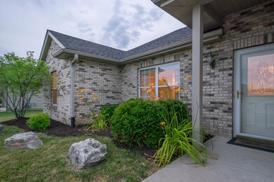 5309 Baseline Pl-6