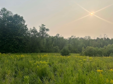 00 W Cotter Rd, Brasher Falls, NY 13613 - photo 6