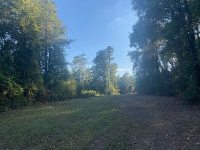 County Road 2- Covington County unit AL, Wing, AL 36483 - photo 3