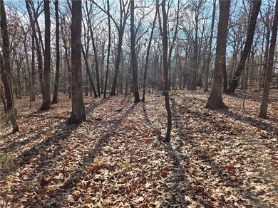 TBD Blue Mountain Rd, Prairie Grove, AR 72753 - photo 7