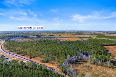 19.09 Acs Cates Bay Hwy unit Lot 11, Conway, SC 29527 - photo 2