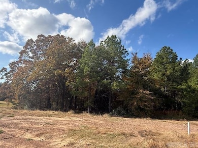 58 Summer Sky Dr, Greenbrier, AR 72058 - photo 3