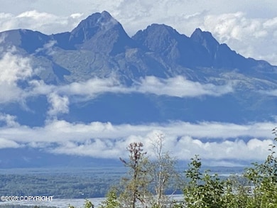 17050 E T and T Ln, Palmer, AK 99645 - photo 3