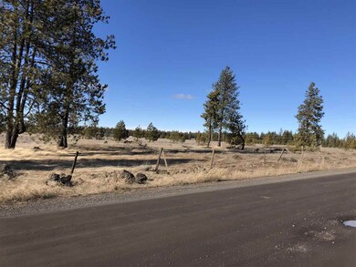 0 W State Route 904 Hwy unit 201811286, Cheney, WA 99004 - photo 4