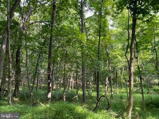 33 Walnut Bottom Hideaway, Moorefield, WV 26836 - photo 4