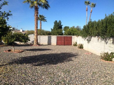 Large Backyard