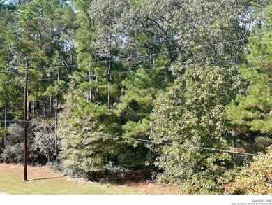 LOT 103 Shoreline Dr, Trinity, TX 75862 - photo 6