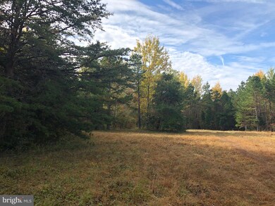 7700 Panier Rd, Spotsylvania, VA 22551 - photo 3