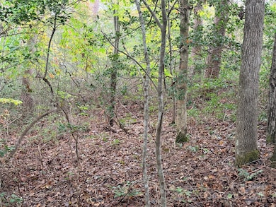 0 Antioch Rd unit CAR4315702, Lake Lure, NC 28746 - photo 6