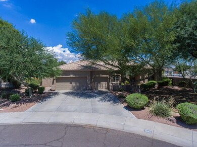 2945 S Palm St, Gilbert, AZ 85295 - photo 6