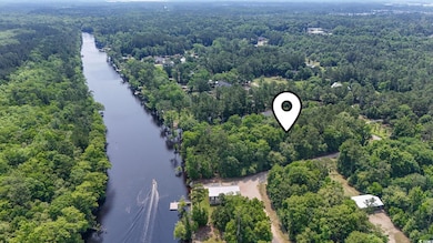 Bird's eye view of a large body of water and a forest