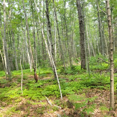 0 Long Reach Ln, Harpswell, ME 04079 - photo 2