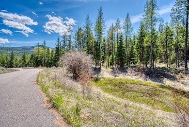 80 Blaney Ln, Kila, MT 59920 - photo 3