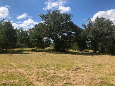 TBD Cr 225, Oxford, MS 38655 - photo 4