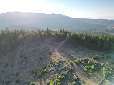 0 E Evans Creek Rd unit 220208811, Central Point, OR 97502 - photo 3