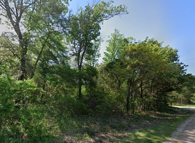 0 Lakeview Dr unit 25566071, Trinidad, TX 75163 - photo 4