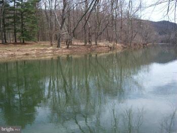 46 Honey Locust Ln, Great Cacapon, WV 25422 - photo 4