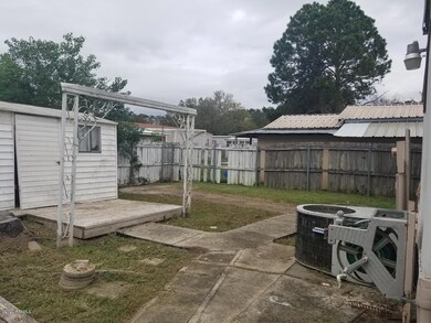 backyard1