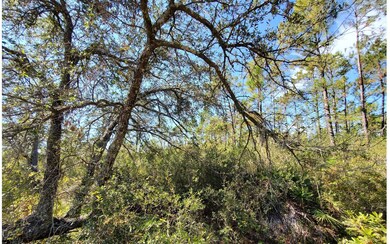 0 County Line & Prine unit 123987, Lee, FL 32059 - photo 2