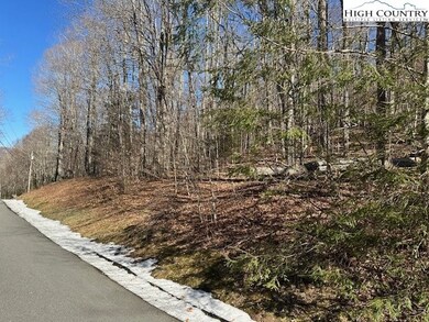 6 Meadow Ave, Banner Elk, NC 28604 - photo 7