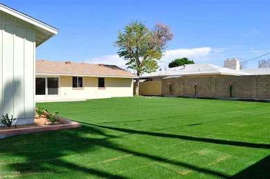 Backyard2