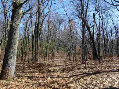 0 S 700 E unit 201807802, Knox, IN 46534 - photo 6